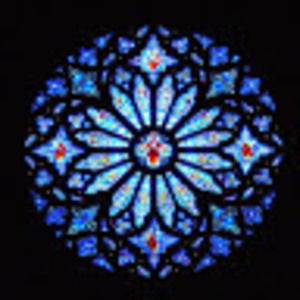 Meet your Posher, Rose